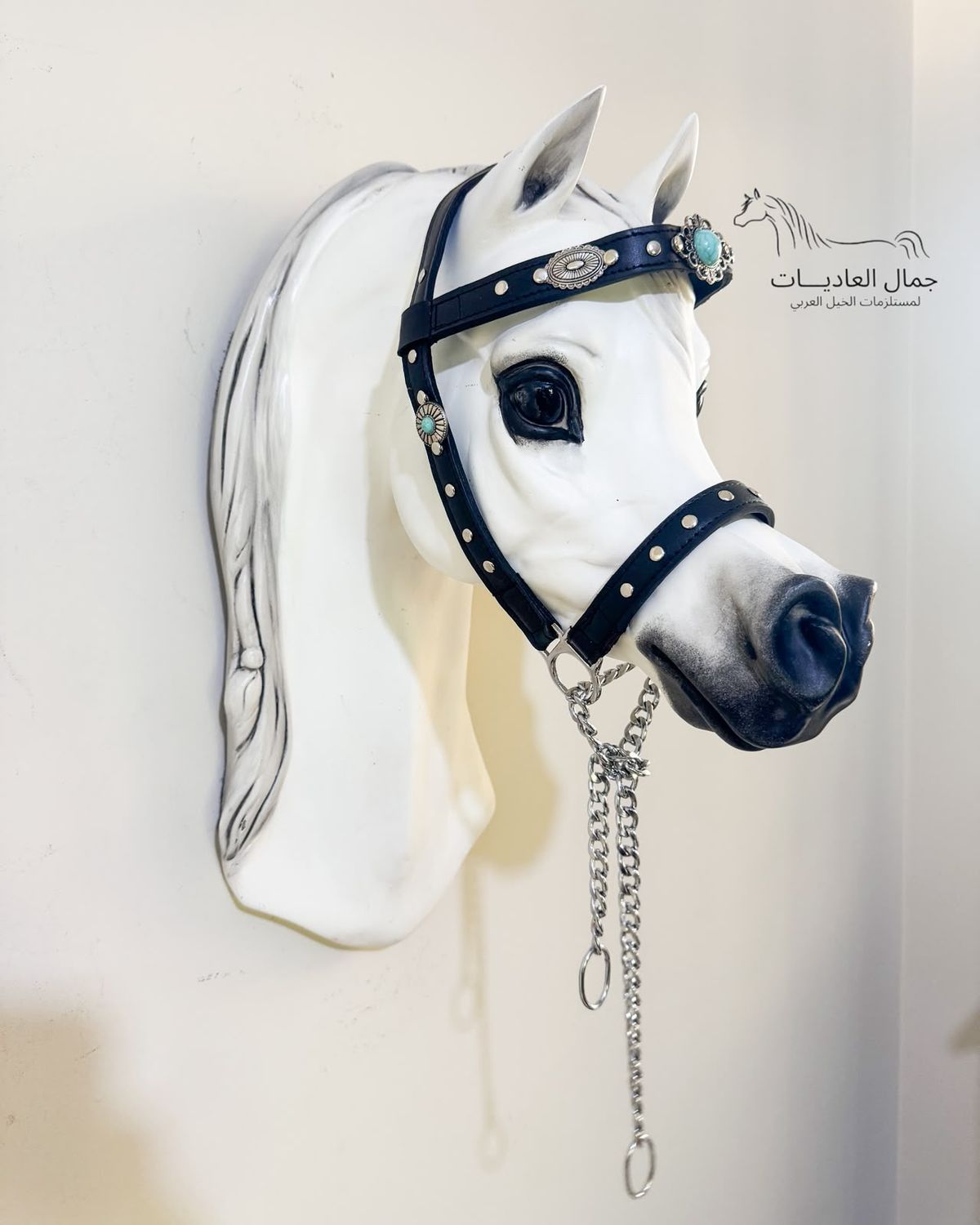 Arabian show halter under 6 months / Silver