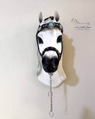 Arabian show halter under 6 months / Silver