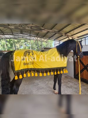 Embroidered Velvet Arabian Horse  Blanket , with Wool tassel / Yellow With Gold