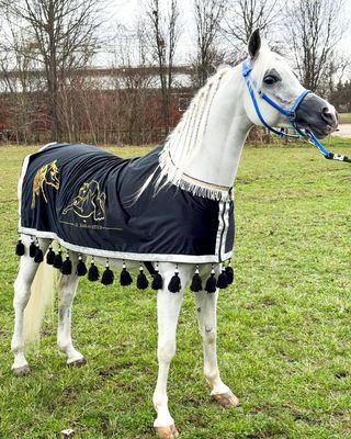 Embroidered Velvet Arabian Horse  Blanket , with Wool tassel / Black With Silver