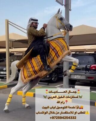 Arabian Horse Blanket — Bedouin Fabric / Grey