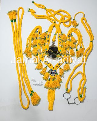 Royal Wool Set For Arabian Horse (Shaband) Y Shap / Yellow