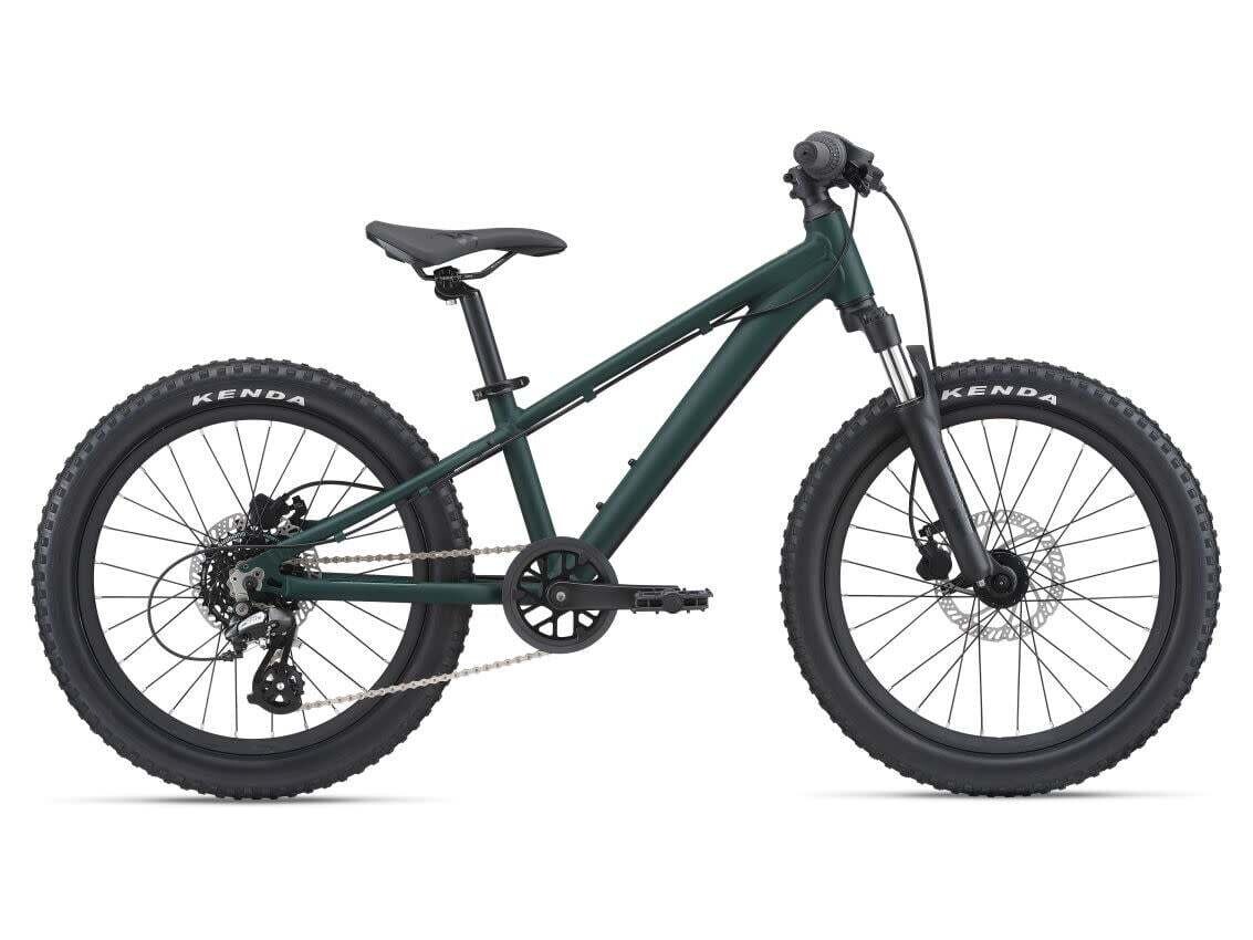 Giant STP 20 FS One size Trekking Green