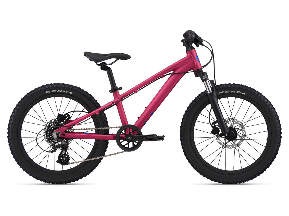 STP 20 FS (Liv) One size Virtual Pink