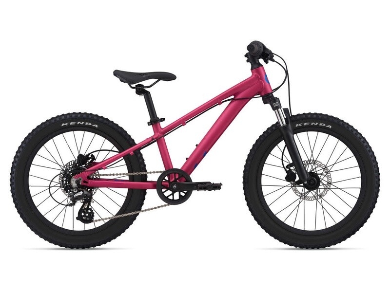 STP 20 FS (Liv) One size Virtual Pink