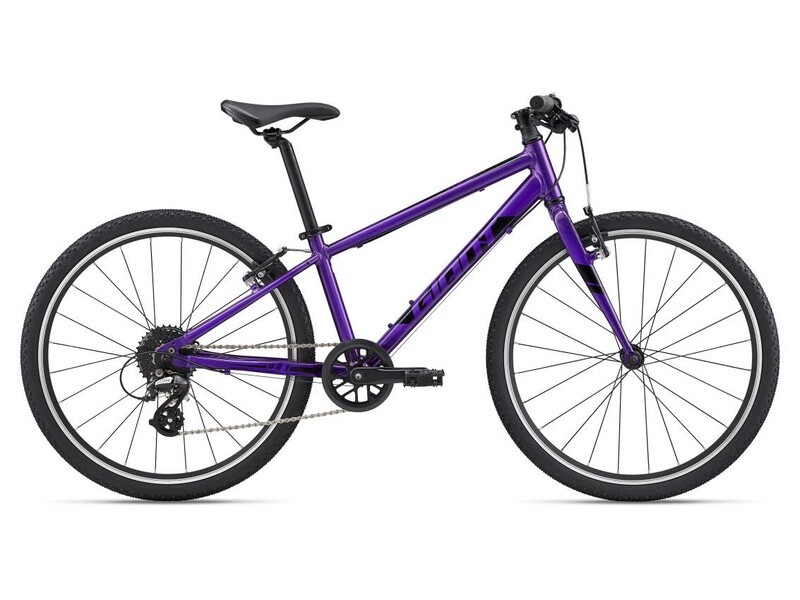 GIANT ARX 24 One size Purple