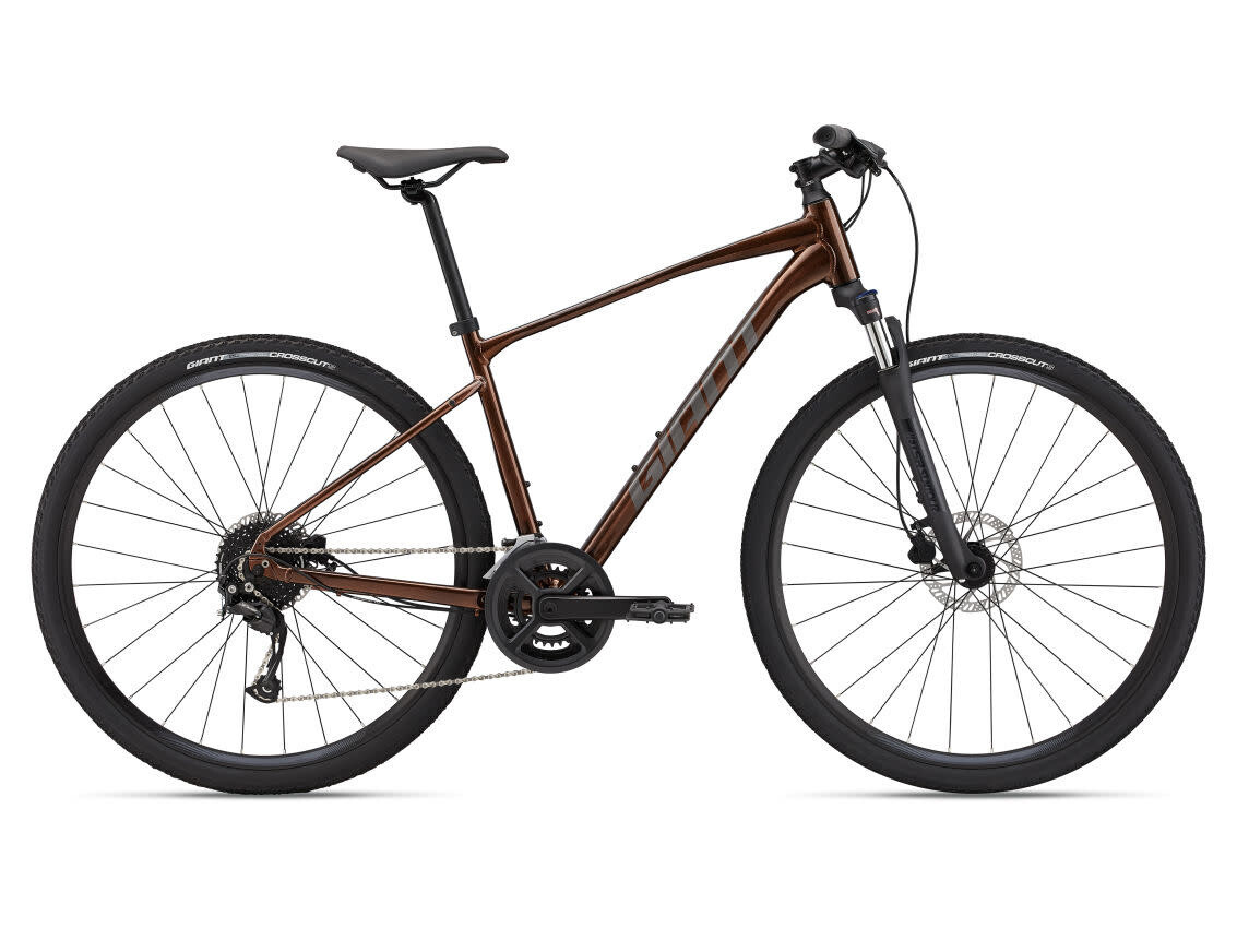 Giant Roam Disc 2 L Hematite