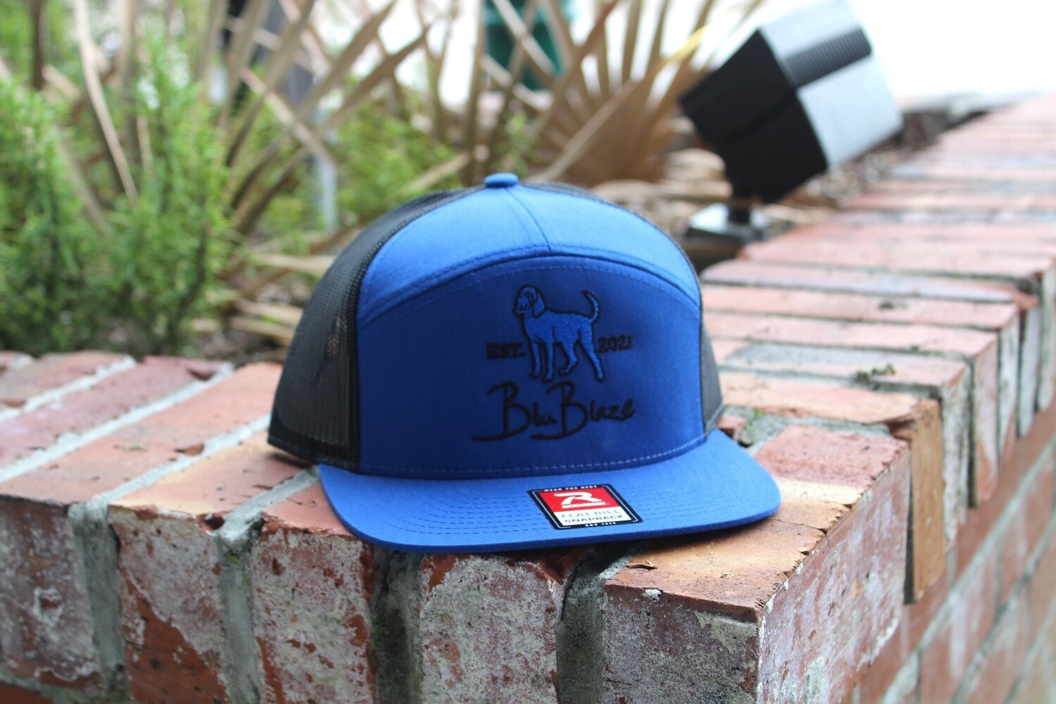 Blu Blaze Dog 7 Panel, Style: Beau