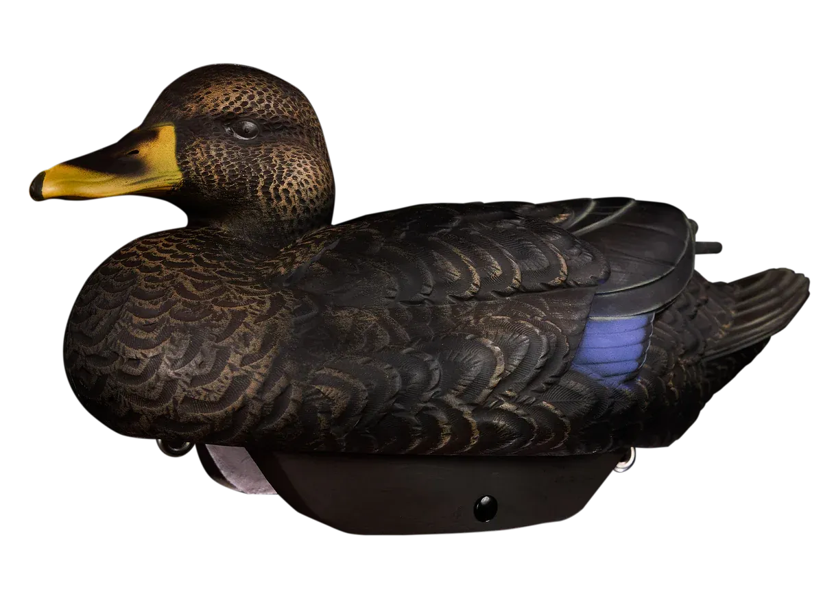 Heyday HydroFoam Black Duck - 6 Pack