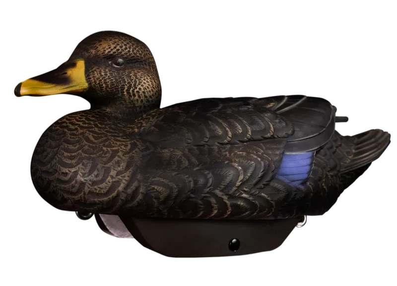 Heyday HydroFoam Black Duck - 6 Pack