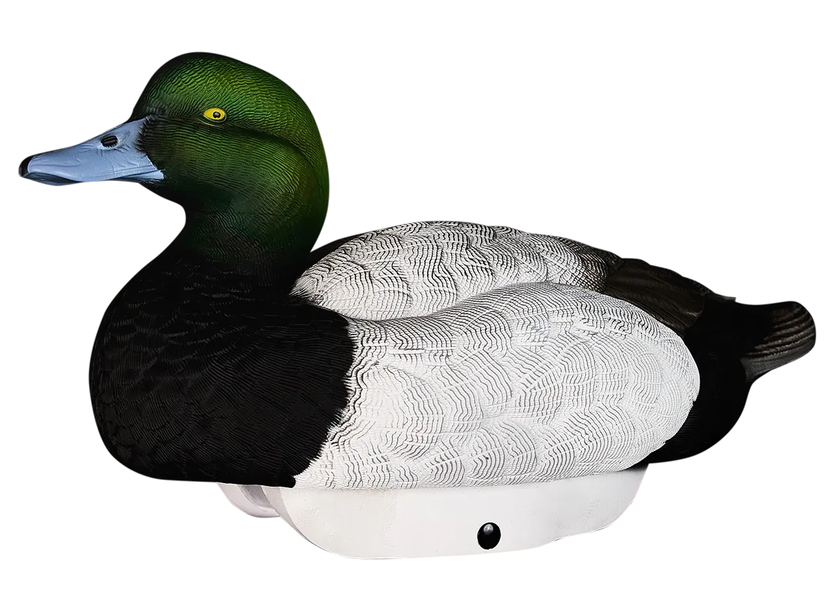Heyday HydroFoam Bluebill - 6 Pack