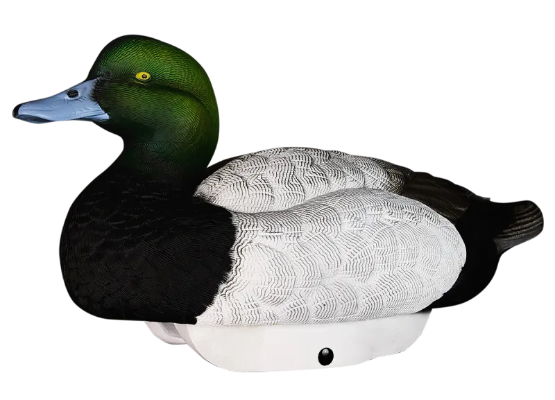 Heyday HydroFoam Bluebill - 6 Pack