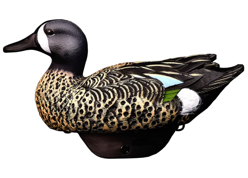 Heyday HydroFoam Blue-Winged Teal - 6 Pack