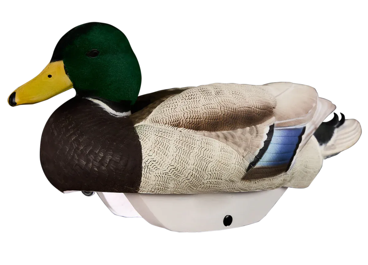 HydroFoam Flocked Mallard - 6 Pack