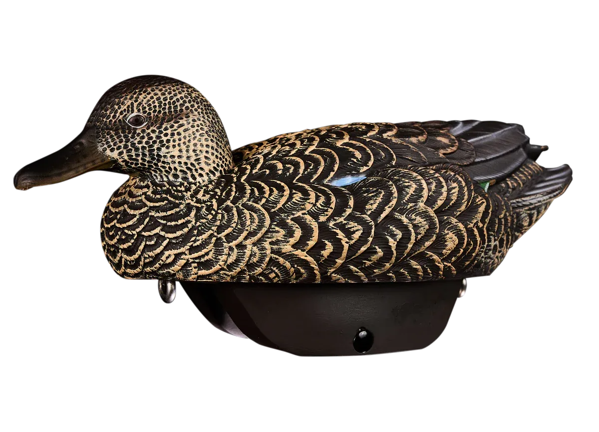 Heyday HydroFoam Early Season Teal - 6 Pack