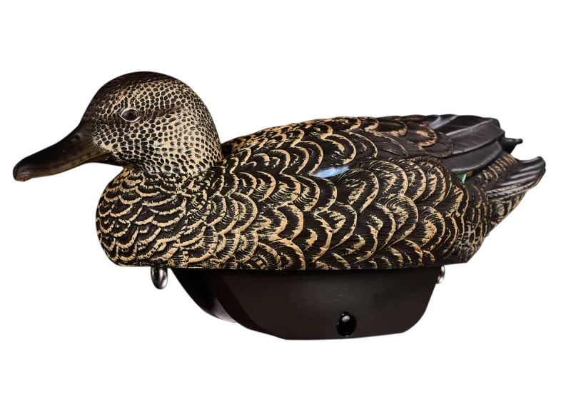 Heyday HydroFoam Early Season Teal - 6 Pack