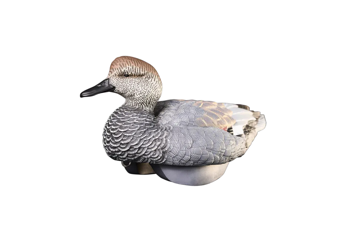Heyday HydroFoam Gadwall - 6 Pack
