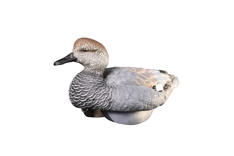 Heyday HydroFoam Gadwall - 6 Pack