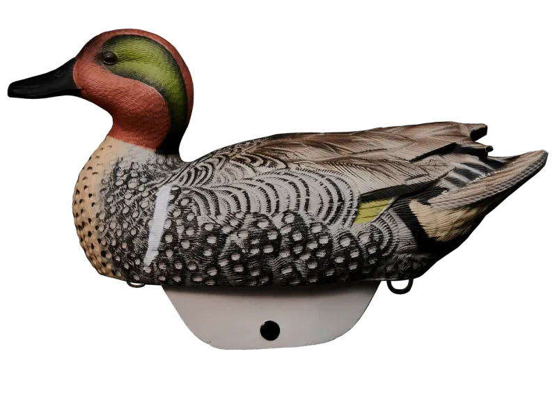 Heyday HydroFoam Green-Winged Teal - 6 Pack