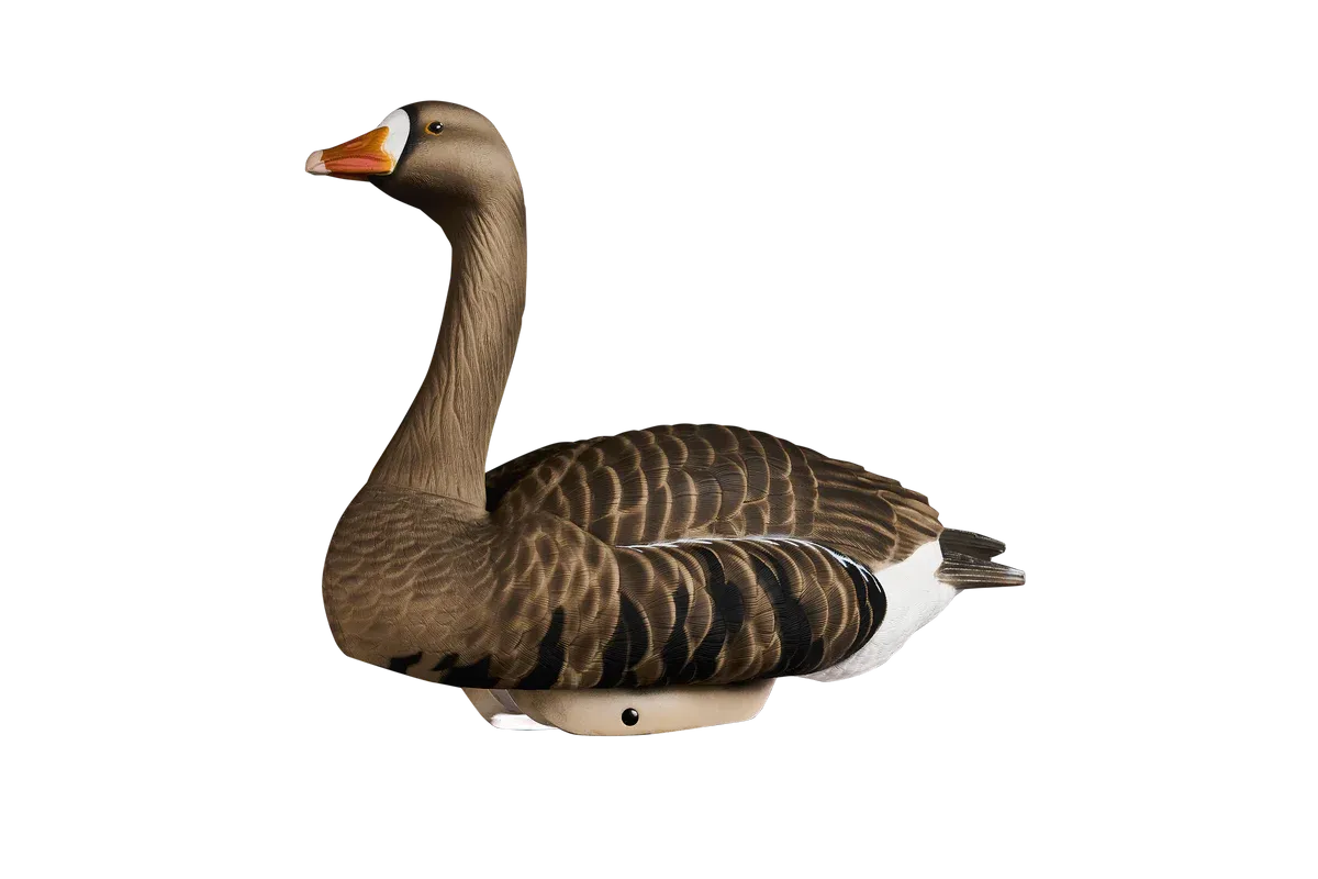 HydroFoam Specklebelly Goose Floater - 4 Pack