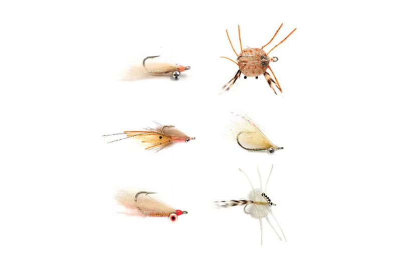 Fulling Mill Saltwater Tropics Selection