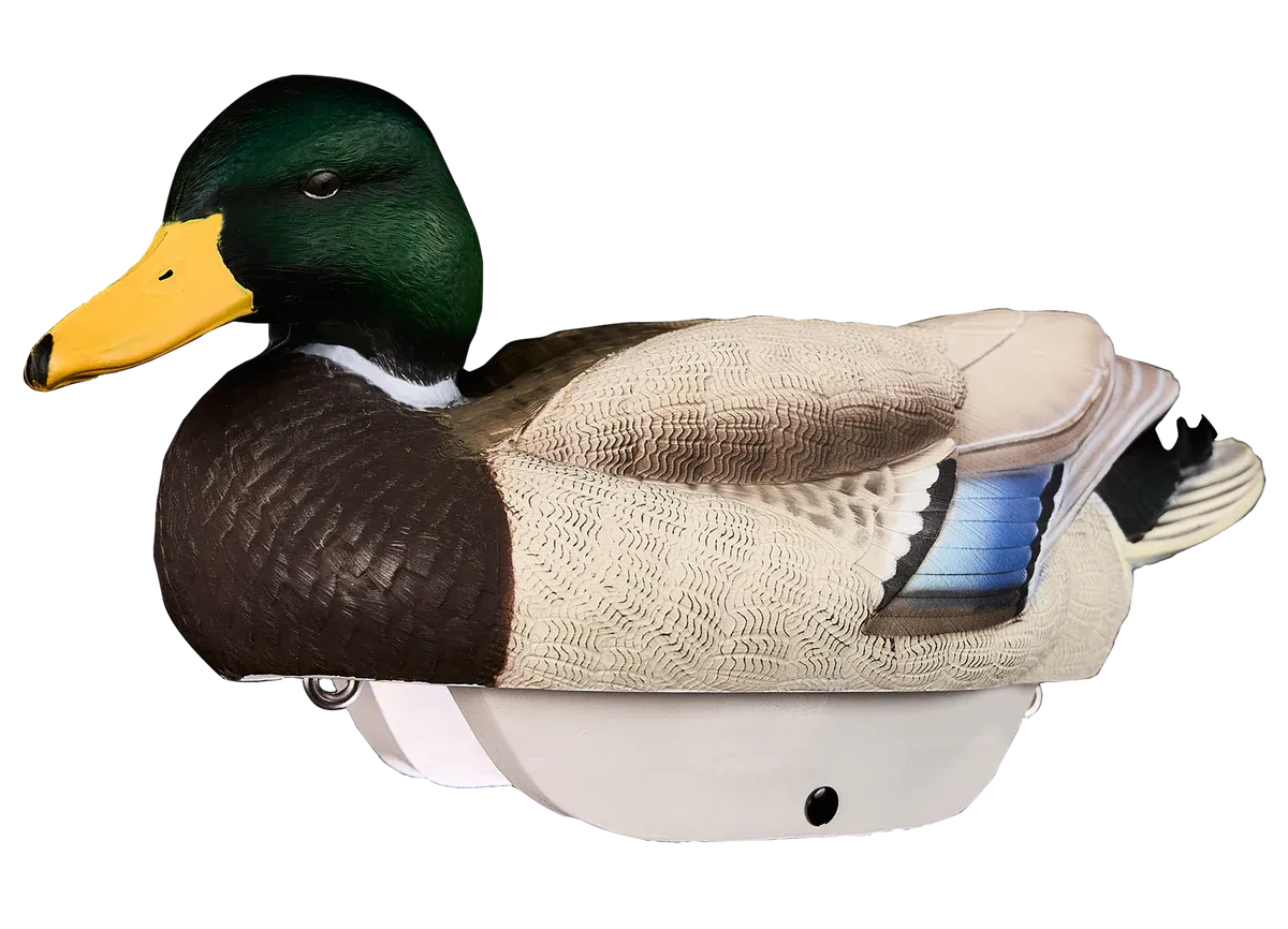 Heyday HydroFoam Mallard - 6 Pack