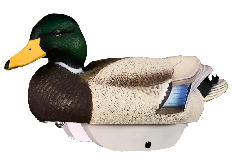 Heyday HydroFoam Mallard - 6 Pack