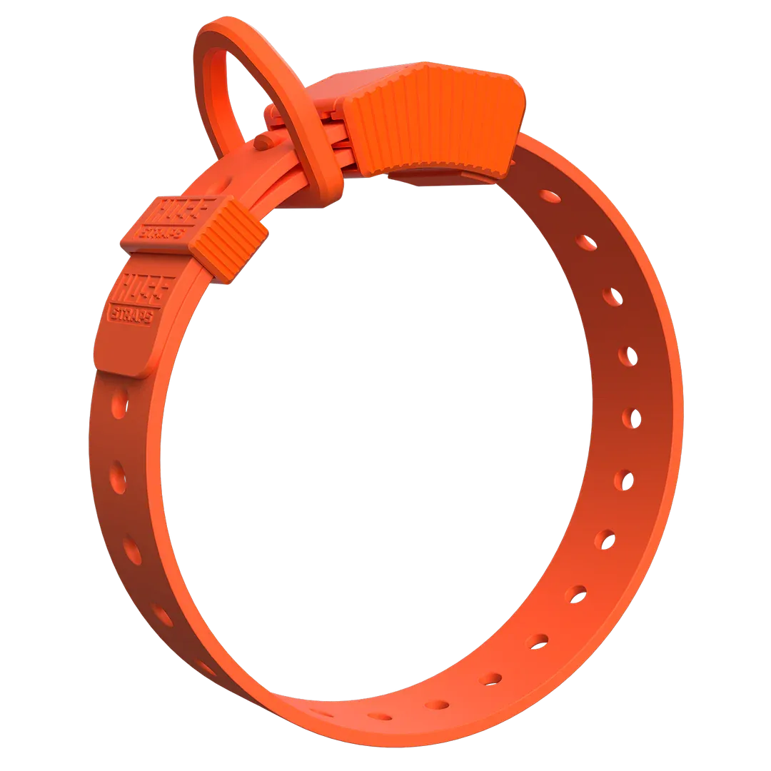 Hoss Straps: D Ring Dog Collar