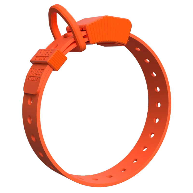 Hoss Straps: D Ring Dog Collar