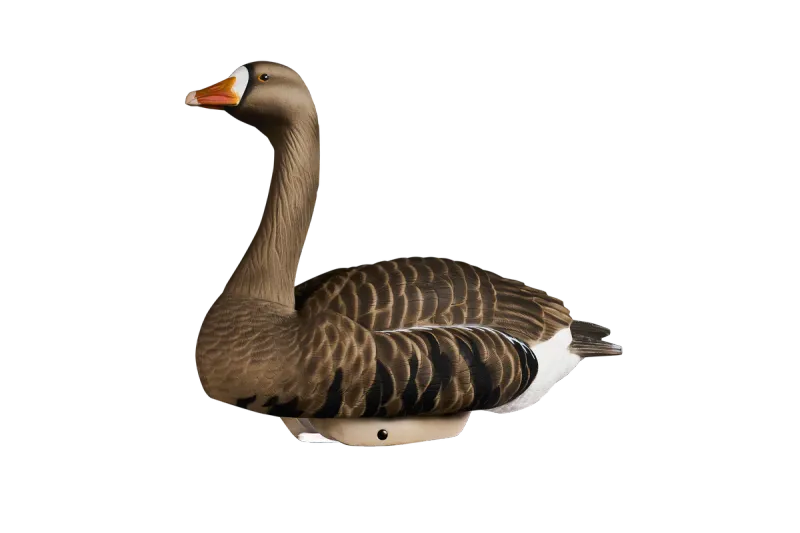 HydroFoam Specklebelly Goose Floater - 4 Pack