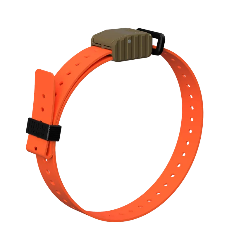 Hoss Straps: 1” Replacement E Collar Strap