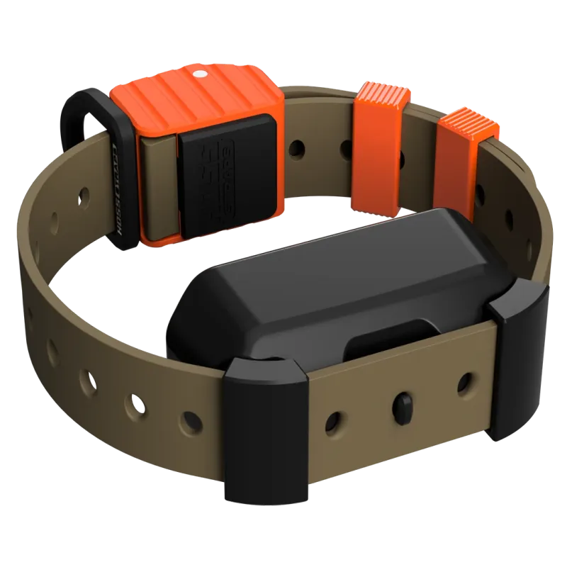 Hoss Straps: Pro Series Field Dog Collar