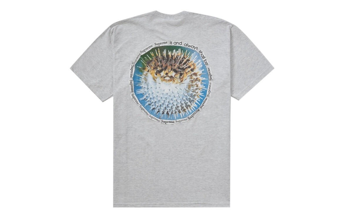 Supreme Blowfish Tee Heather Grey Size XXL New