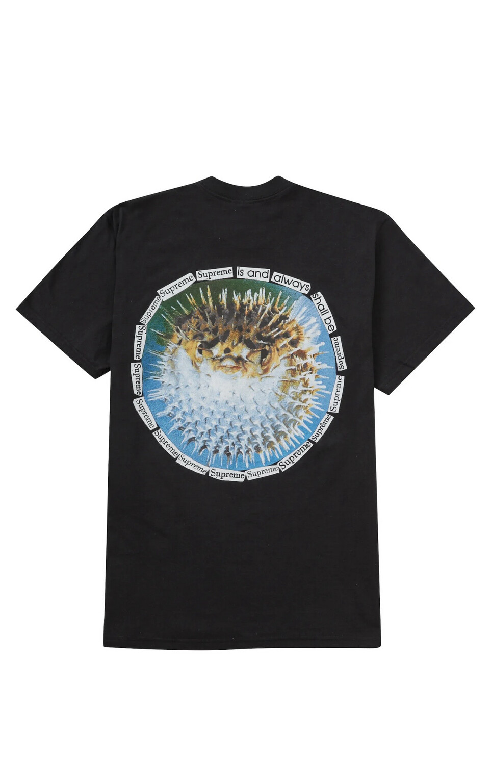 Used Supreme Blowfish Tee Size XL