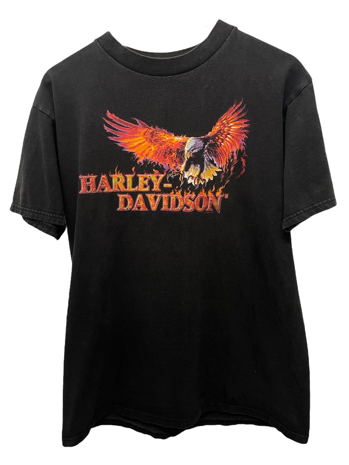 Vtg 1998 Harley Davidson Virginia Beach Tee Size L 21x28