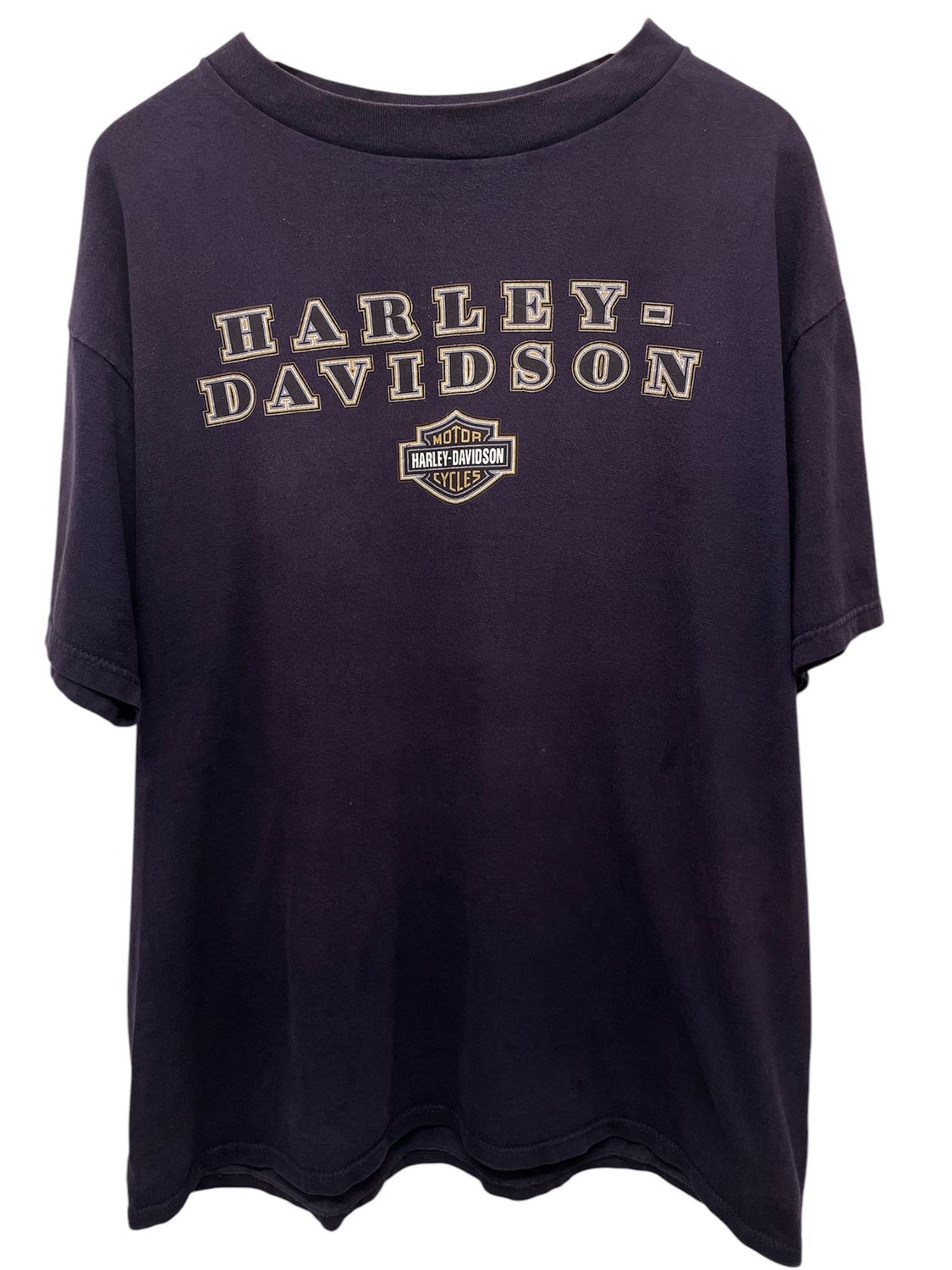 Vintage 2000 Harley Davidson Santa Cruz Tee XL