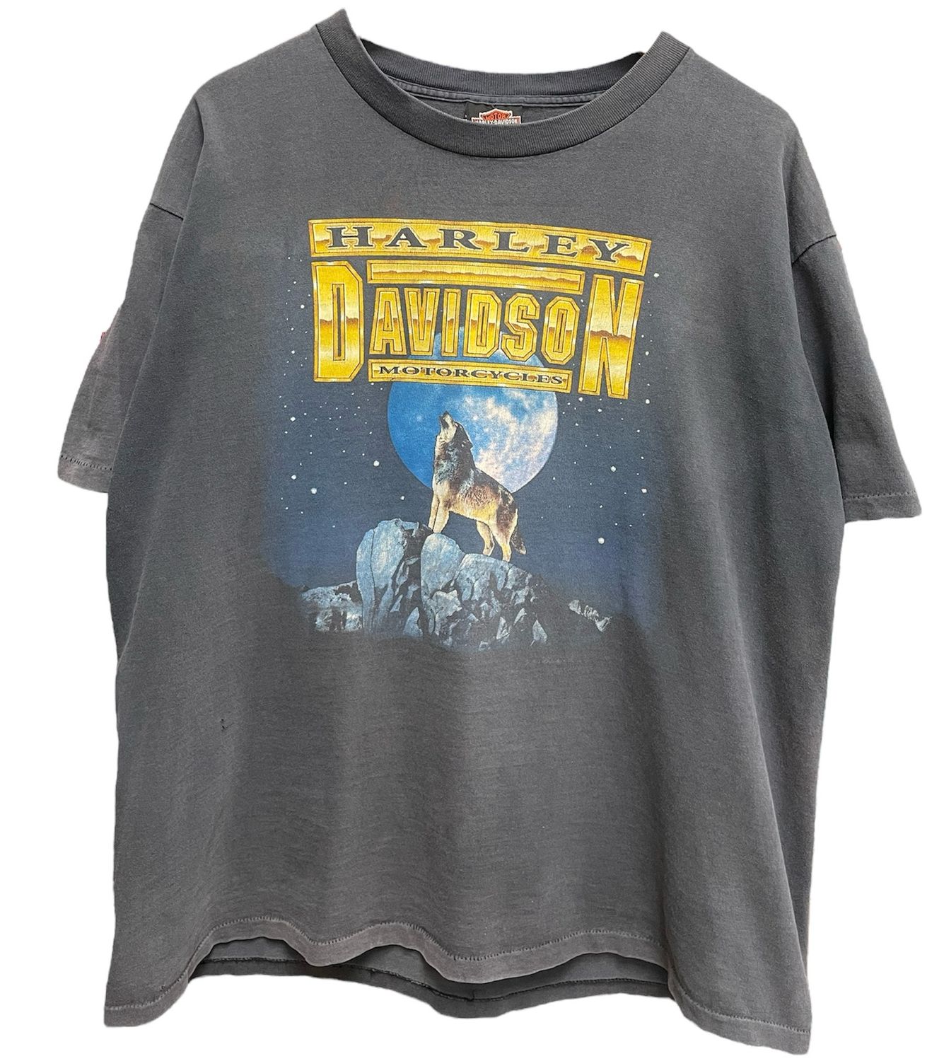 Vtg Harley Davidson Fairbanks,Alaska Size L