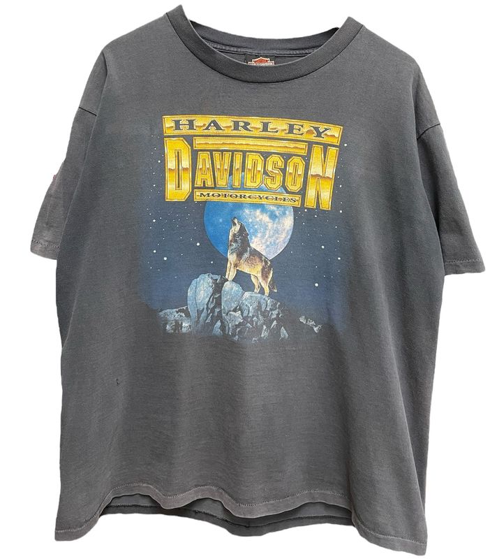 Vtg Harley Davidson Fairbanks,Alaska Size L