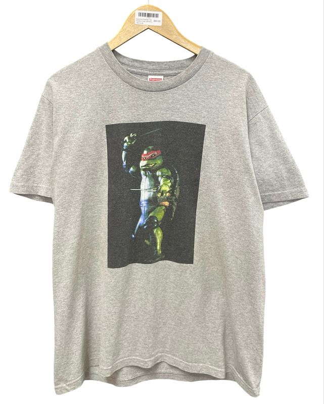 Supreme Raphael Tee Heather Grey (WORN)