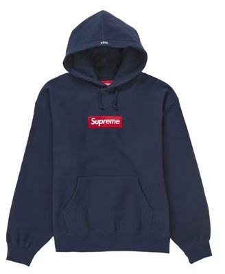 Supreme Box Logo Hooded Sweatshirt Sweatshirt (FW24) Size L