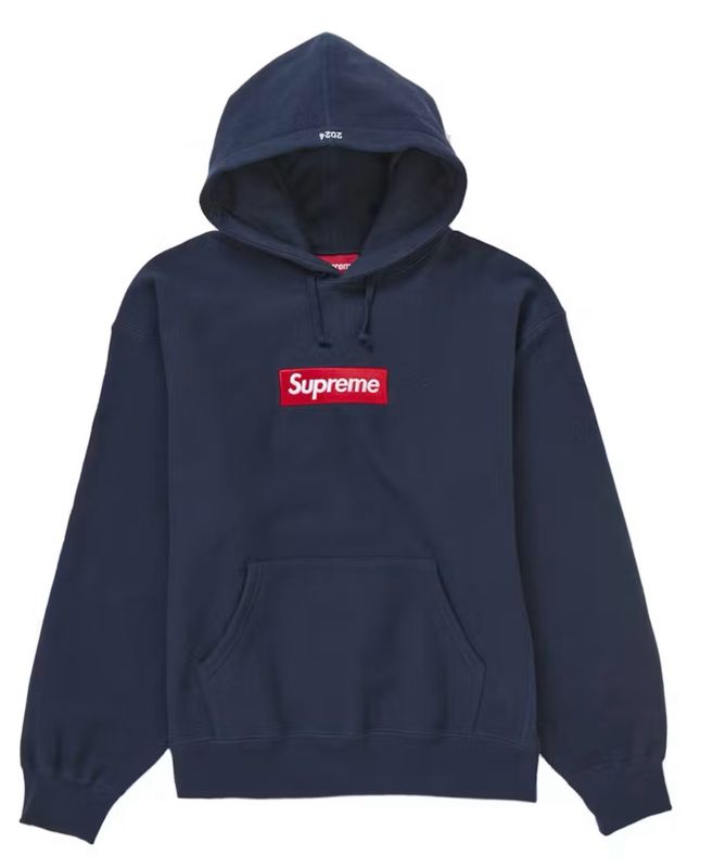 Supreme Box Logo Hooded Sweatshirt Sweatshirt (FW24) Size L