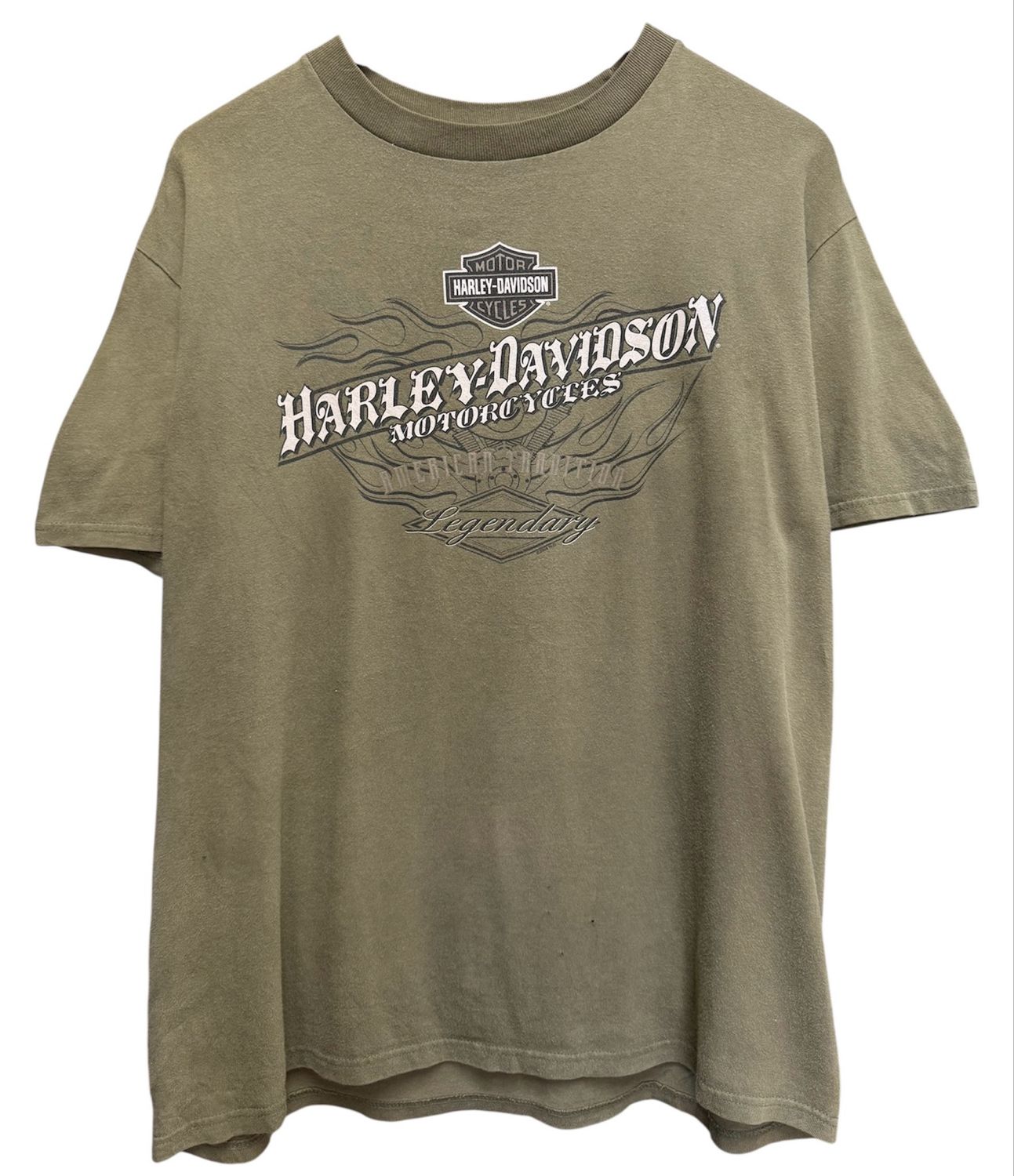 Early 00s Harley Davidson Reiman's Kewanee,IL Size L 21x29