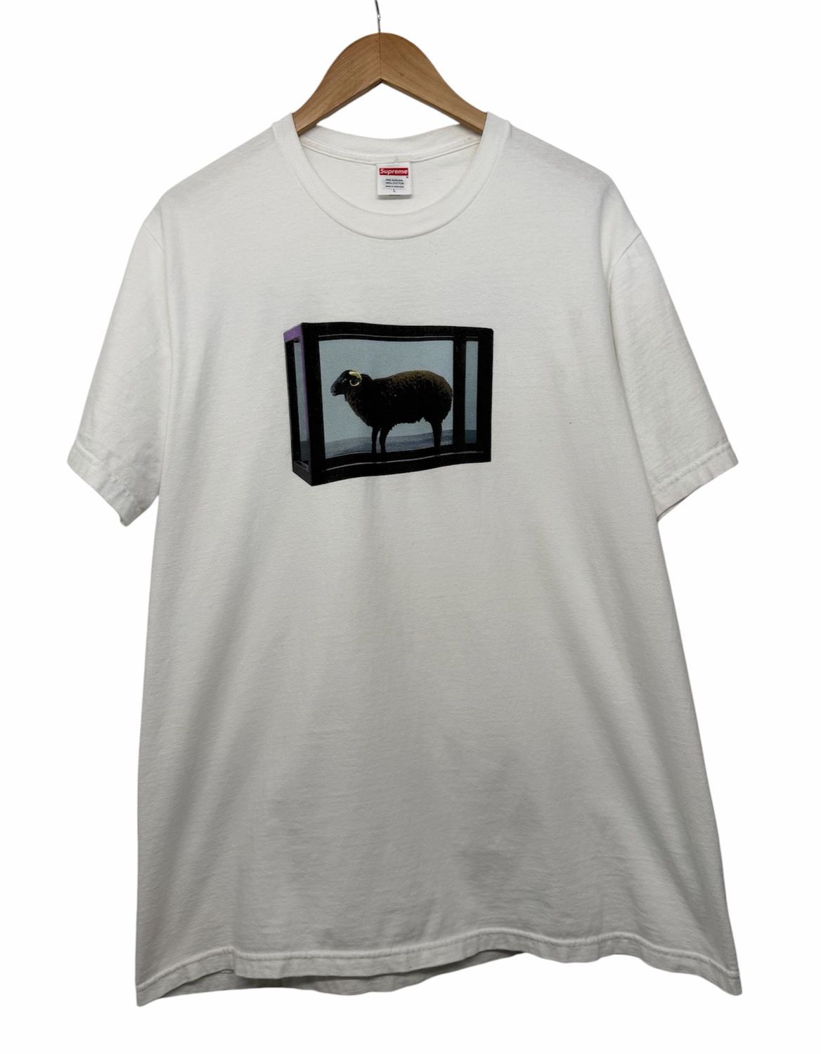 Supreme Damien Hirst Tee White Size L (WORN)