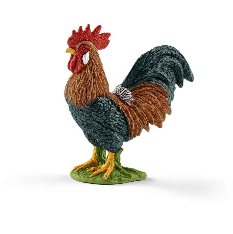 Boerderijdieren/huisdieren klein, soort: 13825 Haan