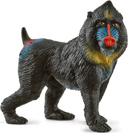 Wilde dieren, soort: 14856 mandril