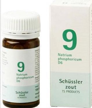 Schussler celzout nr. 9 Natrium phosphoricum  100 tabletten