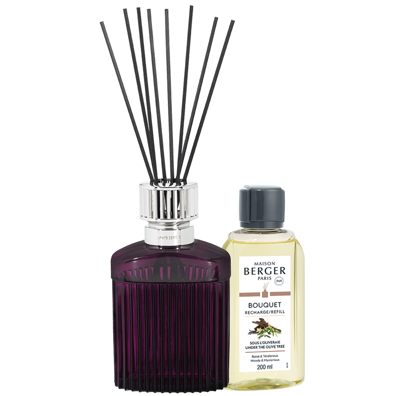 Maison Berger Geurstokjes Alpha prune scandale