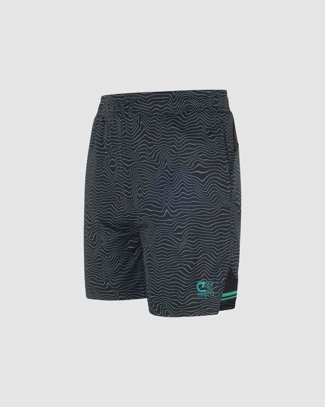 Icon Shorts Blue