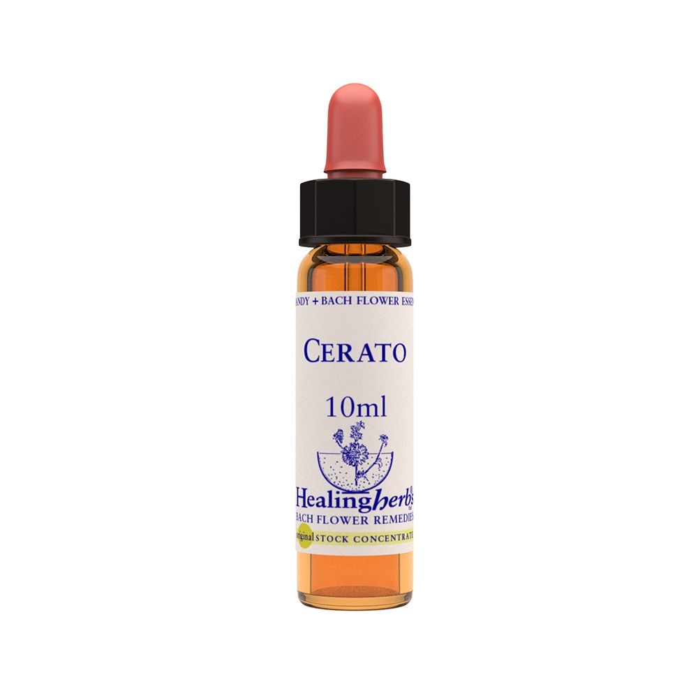 Cerato 10ml