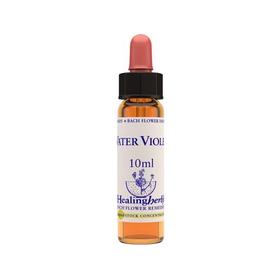 Water Violet 10ml